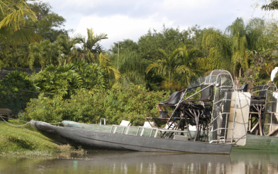 Navigating the Everglades: A Boating Adventure in Southwest Florida’s Backcountry